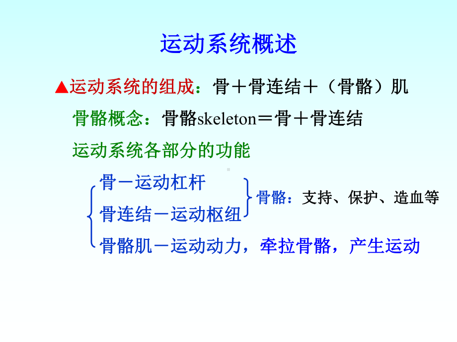 人体解剖学复习课课件.ppt_第2页