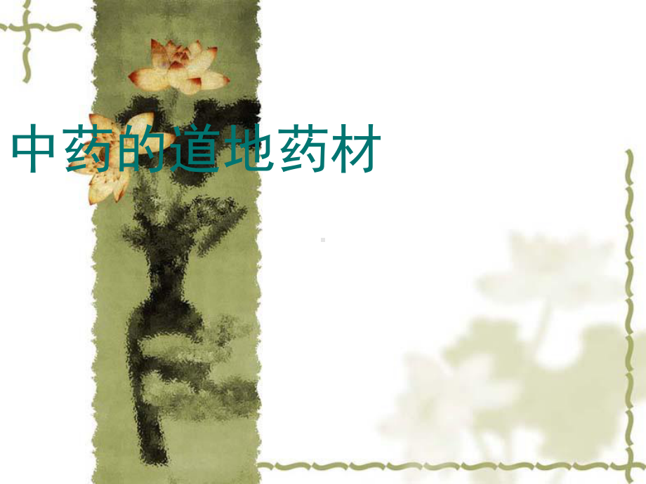 中药道地药材课件.ppt_第1页