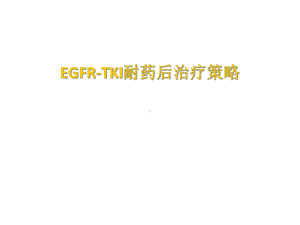 TKI耐药后治疗精选课件.ppt