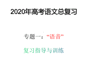 2020年高考语文专题复习(语音)课件.ppt