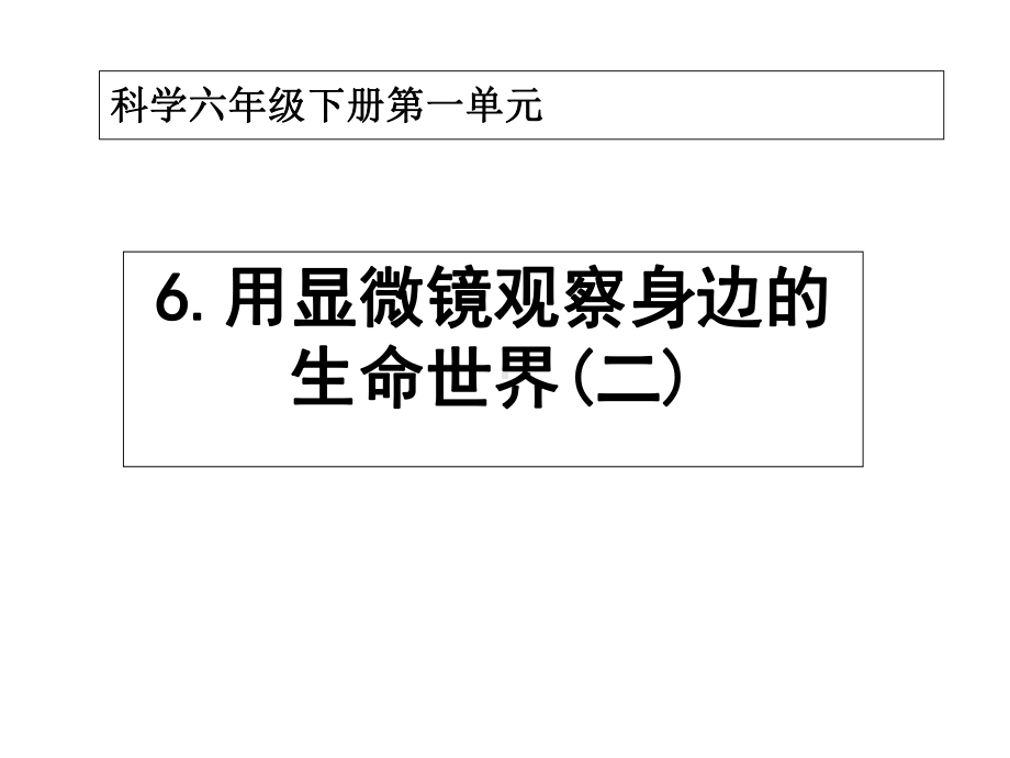 16用显微镜观察身边的生命世界(二)课件.ppt_第1页