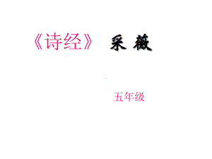 《诗经·采薇》课件.ppt