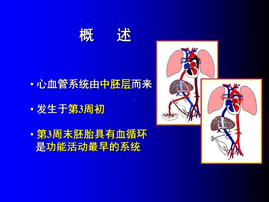 人体组织学与胚胎学(之心脏发生)课件.ppt_第2页