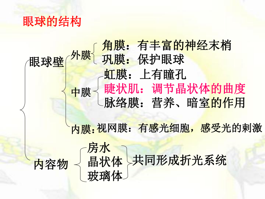 人教版中考生物单元复习：七年级下册第四单元第六章人体生命活动的调节(共40张)课件.ppt_第3页