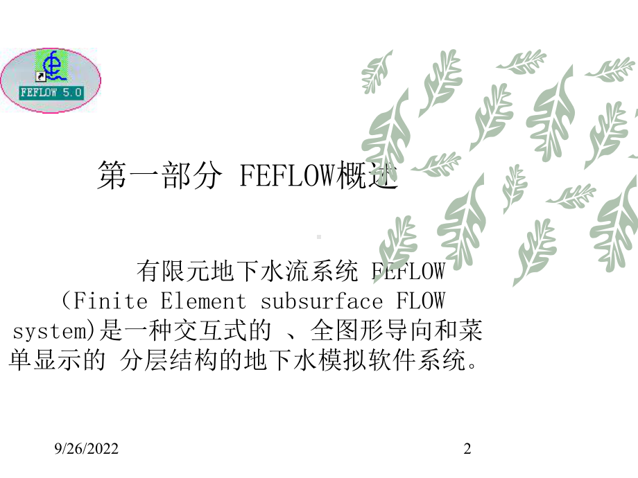 FEFLOW有限元地下水流系统模拟演示课件.ppt_第2页