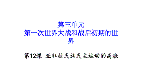 2020人教版九年级历史下册第12课亚非拉民族民主运动的高涨课件.ppt