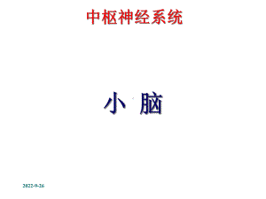 中枢神经系统小脑医学课件.ppt