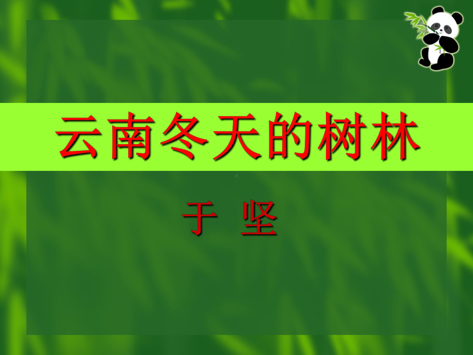 云南冬天的树林公开课课件.ppt_第1页