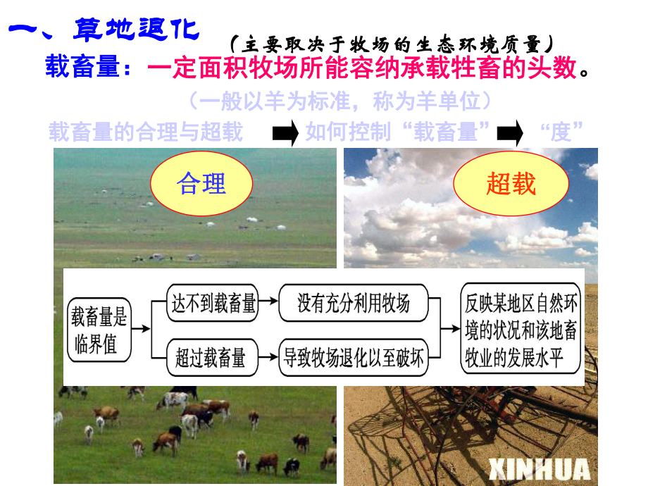 42草地退化及其防治课件.ppt_第3页