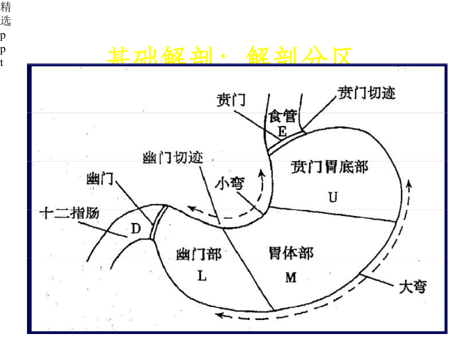 《胃癌放疗靶区勾画》课件.pptx_第3页