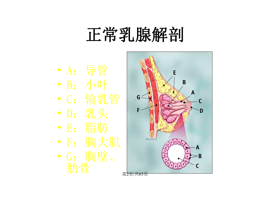 乳腺疾病超声诊断及BIRADS分级学习教案课件.pptx_第3页