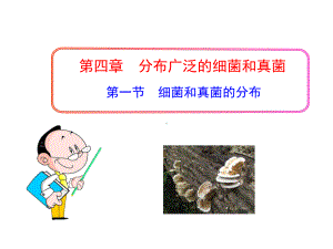 《细菌和真菌的分布》课件.ppt