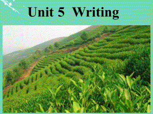 人教九年级全一册-UNIT5SectionBWriting共27张)课件.ppt