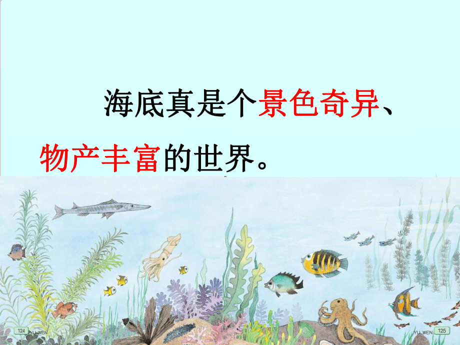 三年级下册语文海底世界部编版课件.ppt_第3页