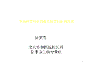 不动杆菌和铜绿假单胞菌的耐药现状课件.ppt