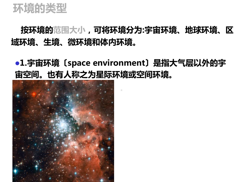 《森林环境》幻灯片课件.ppt_第3页