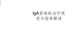 IgA肾病指南解读课件.ppt