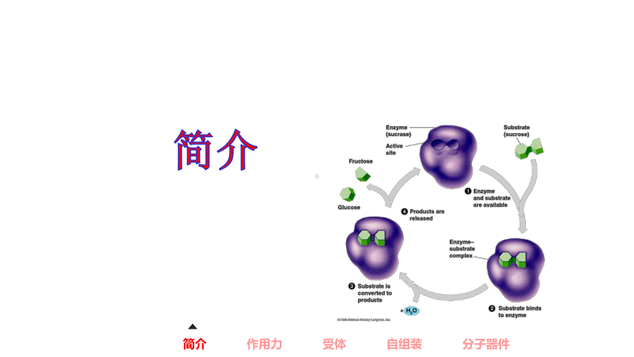 《超分子化学》讲座课件.pptx_第2页