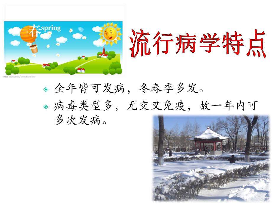 上呼吸道感染的防治课件.ppt_第3页