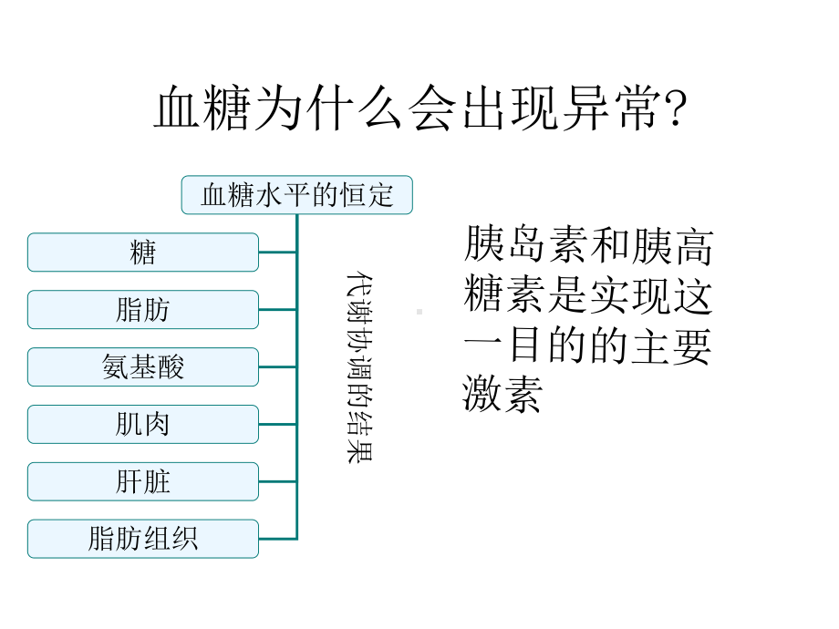 2型糖尿病发病机制课件.ppt_第2页