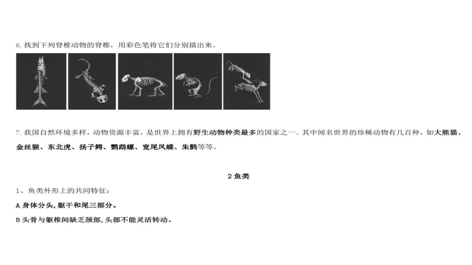 2020年新苏教版四年级上册科学第一单元《动物大家族》知识点整理课件.pptx_第3页