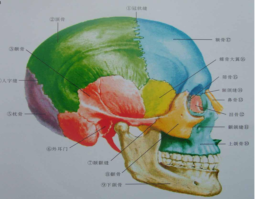 x线常见特殊体位课件.ppt_第3页