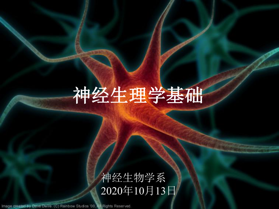 2020神经生理学基础课件.pptx_第1页