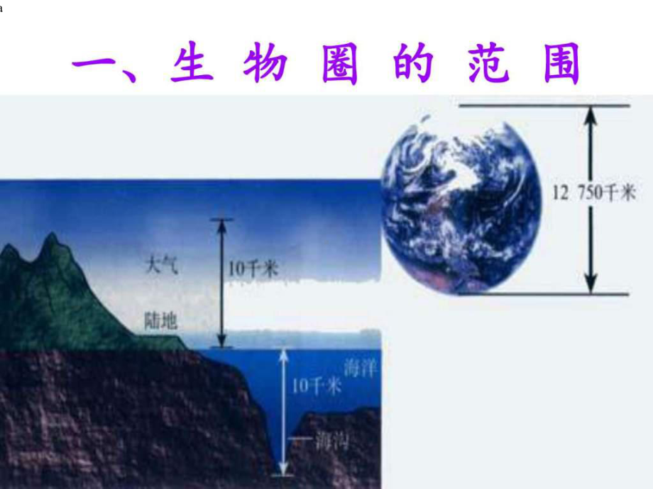 《生物圈是最大的生态系统》课件.ppt_第2页