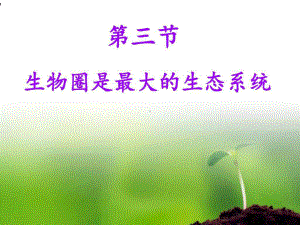 《生物圈是最大的生态系统》课件.ppt