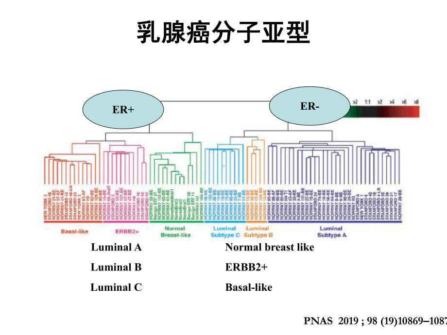 三阴性乳腺癌新辅助治疗课件.ppt_第2页