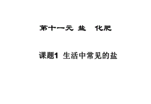 111生活中常见的盐课件.ppt