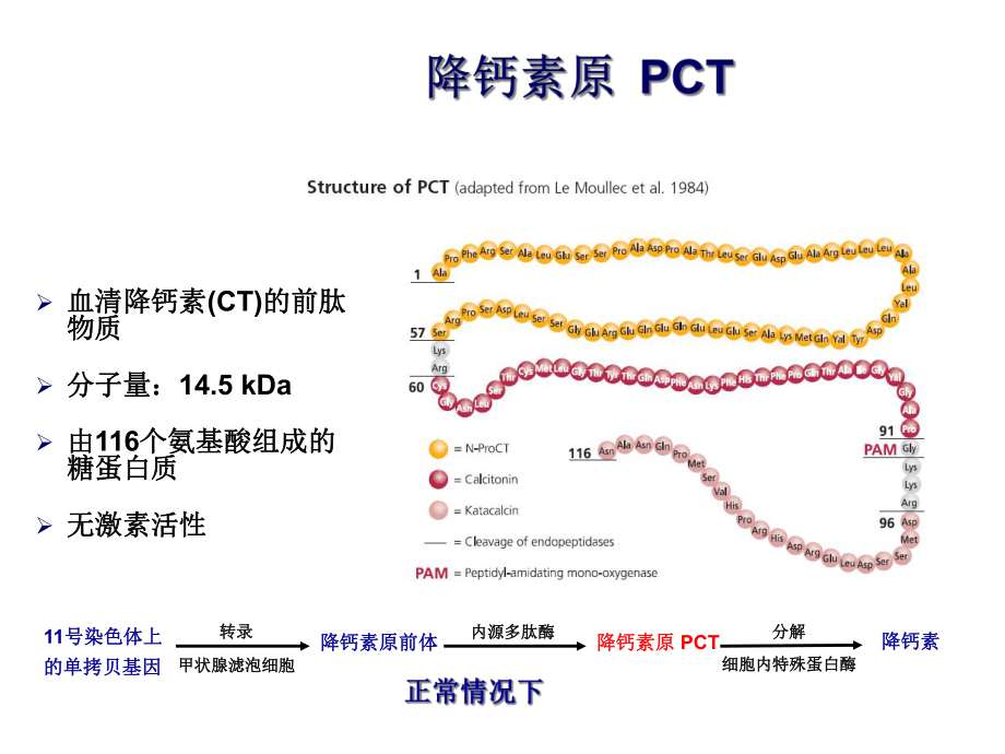 PCT在ICU的应用医学课件.ppt_第2页