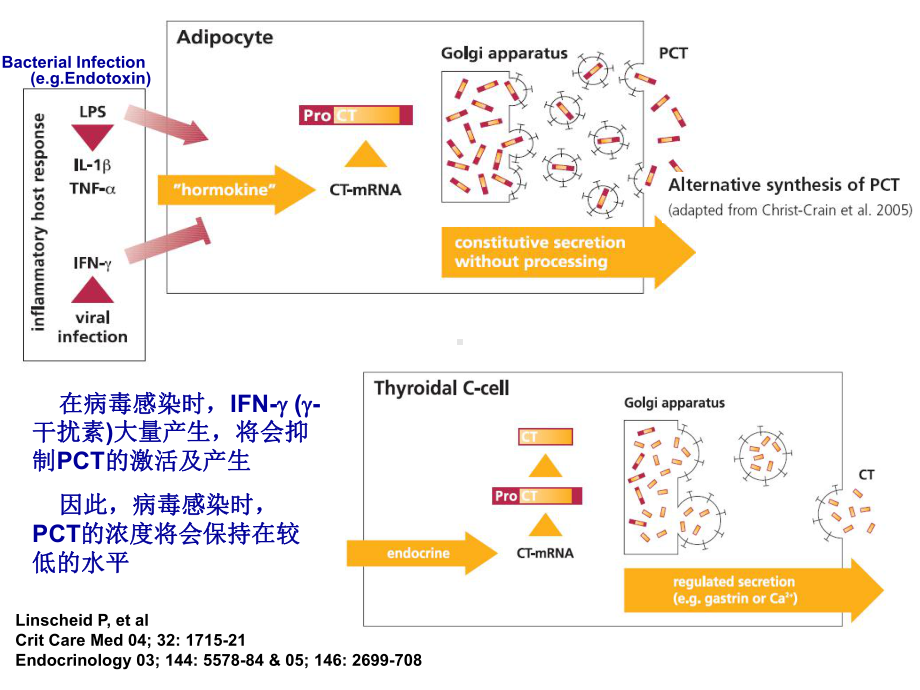 PCT在ICU的应用医学课件.ppt_第3页