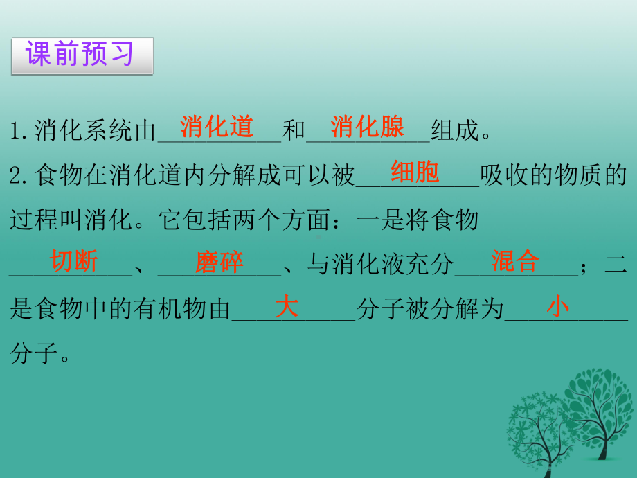 人教版七年级生物下册第四单元第二章第二节消化和吸收(共14张)课件.ppt_第3页