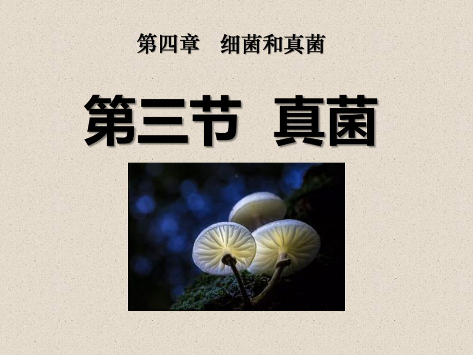 人教版八年级生物上册真菌课件.ppt_第1页