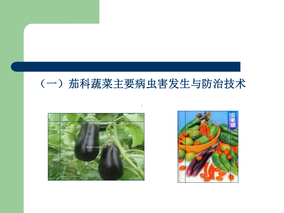 主要蔬菜类病虫草害发生与防治技术课件.ppt_第2页