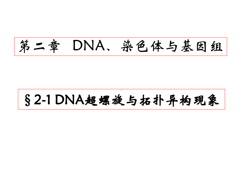 DNA超螺旋基因组染色体精选课件.ppt_第1页