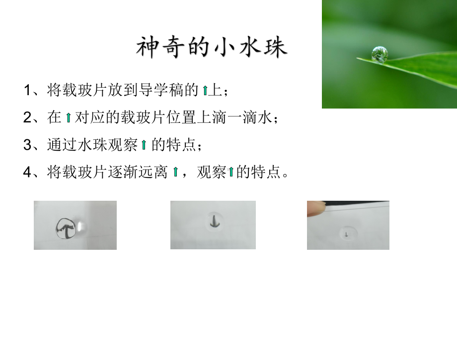 《凸透镜成像的规律》课件.ppt_第2页