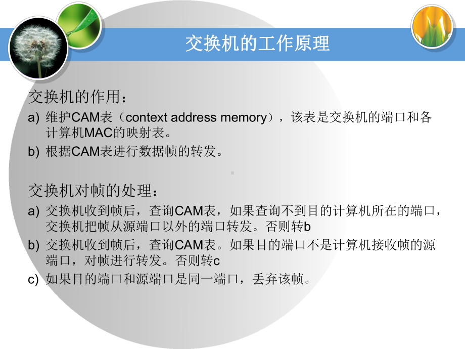 交换机及虚拟局域网组网技术课件.ppt_第3页