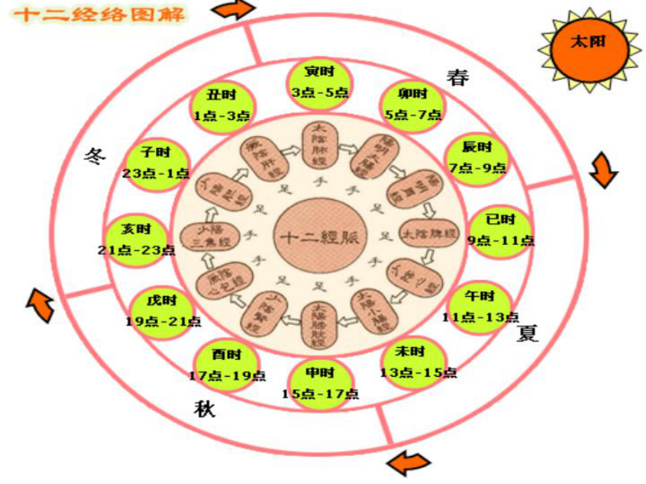 2020年十二时辰养生课件.ppt_第3页