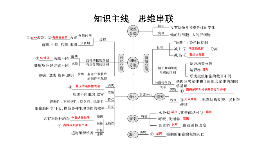 2020高考生物二轮全国1卷专题三细胞的生命历程课件.ppt_第2页