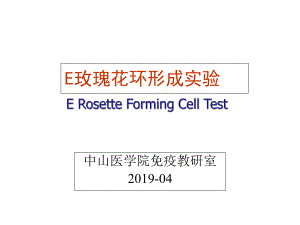 E玫瑰花环形成实验课件.ppt