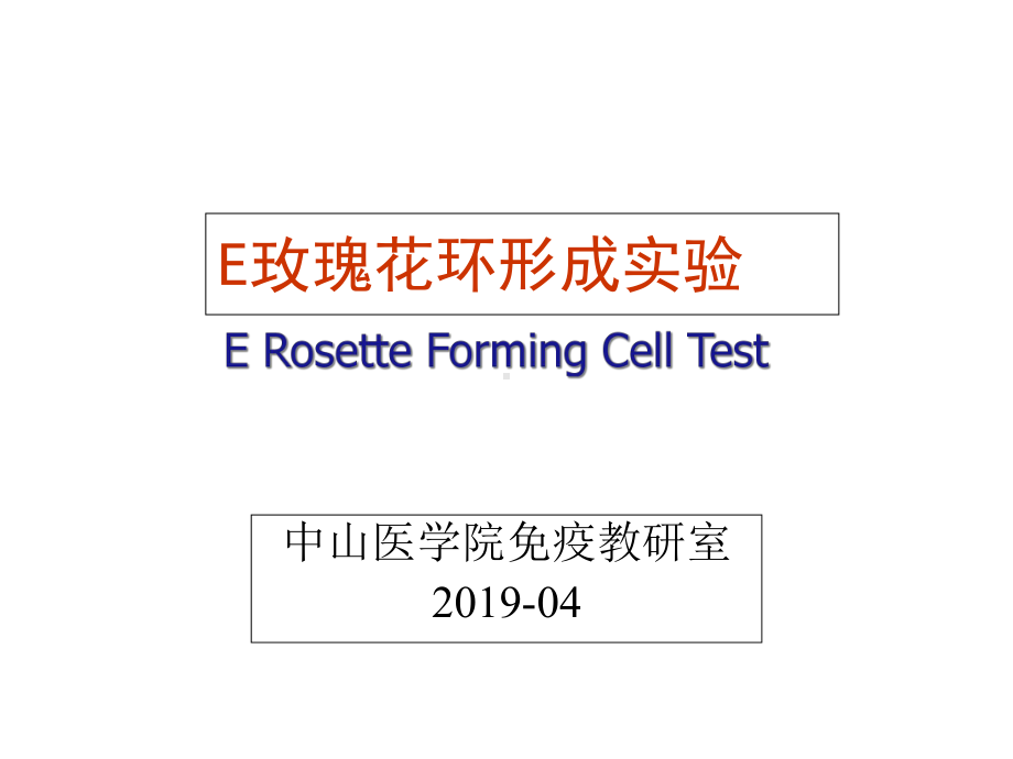 E玫瑰花环形成实验课件.ppt_第1页