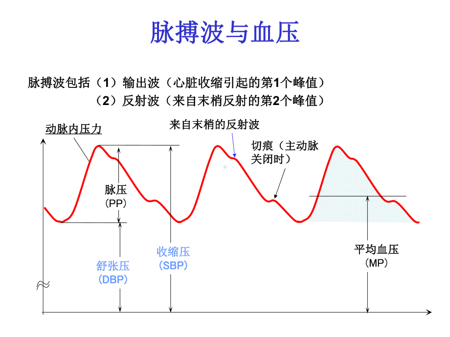 中心动脉压的测定与临床意义课件.ppt_第2页