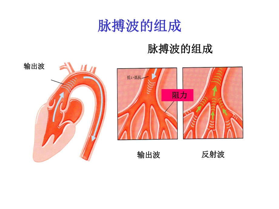 中心动脉压的测定与临床意义课件.ppt_第3页