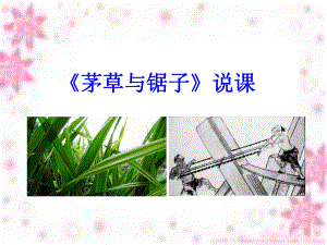 五年级上册科学说课茅草与锯子鄂教版课件.ppt