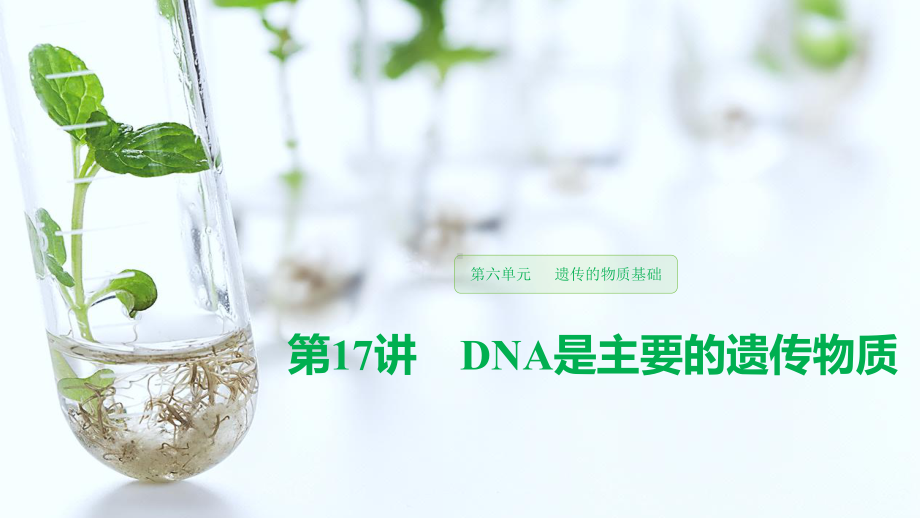 DNA是主要的遗传物质一轮复习课件.pptx_第1页