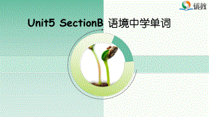 九年级英语人教版全册Unit5-SectionB-语境中学单词课件.pptx（无音视频）