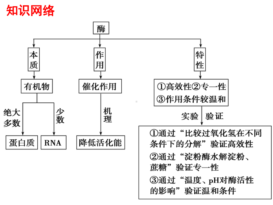 一轮复习酶和ATP课件.ppt_第2页