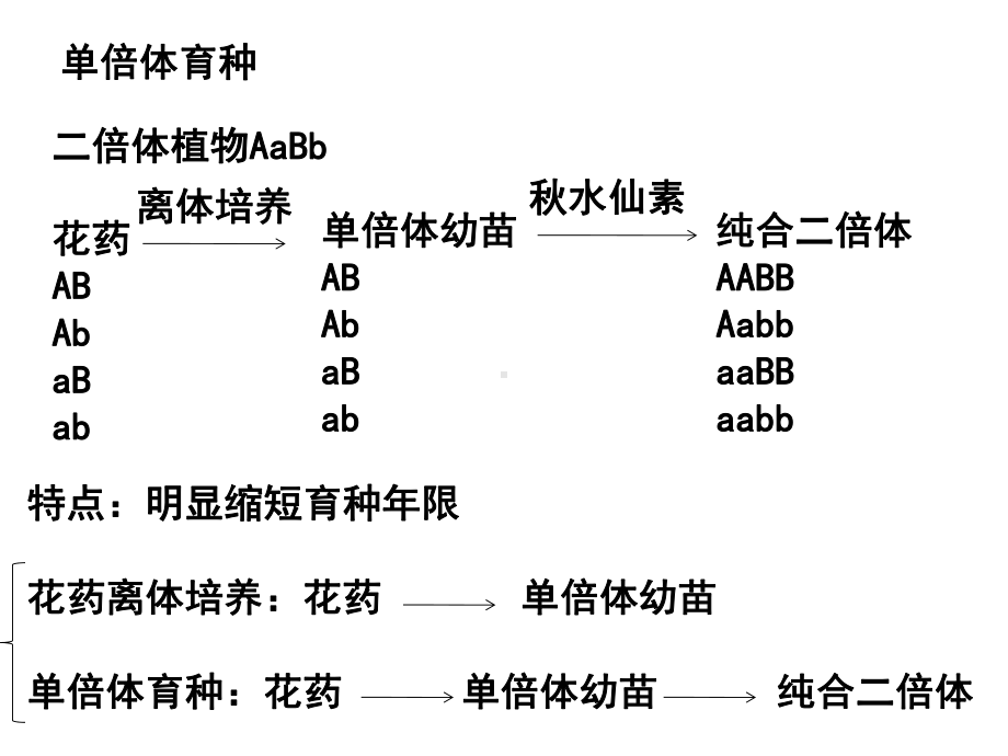 专题三课题2月季的花药培养绝对经典课件.ppt_第2页